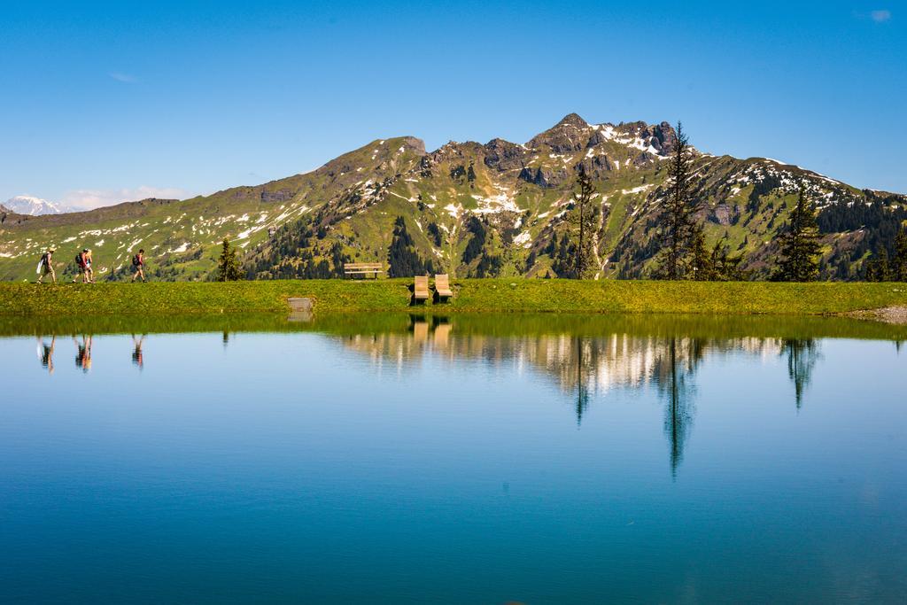 Silberkrug Ξενοδοχείο Dorfgastein Εξωτερικό φωτογραφία